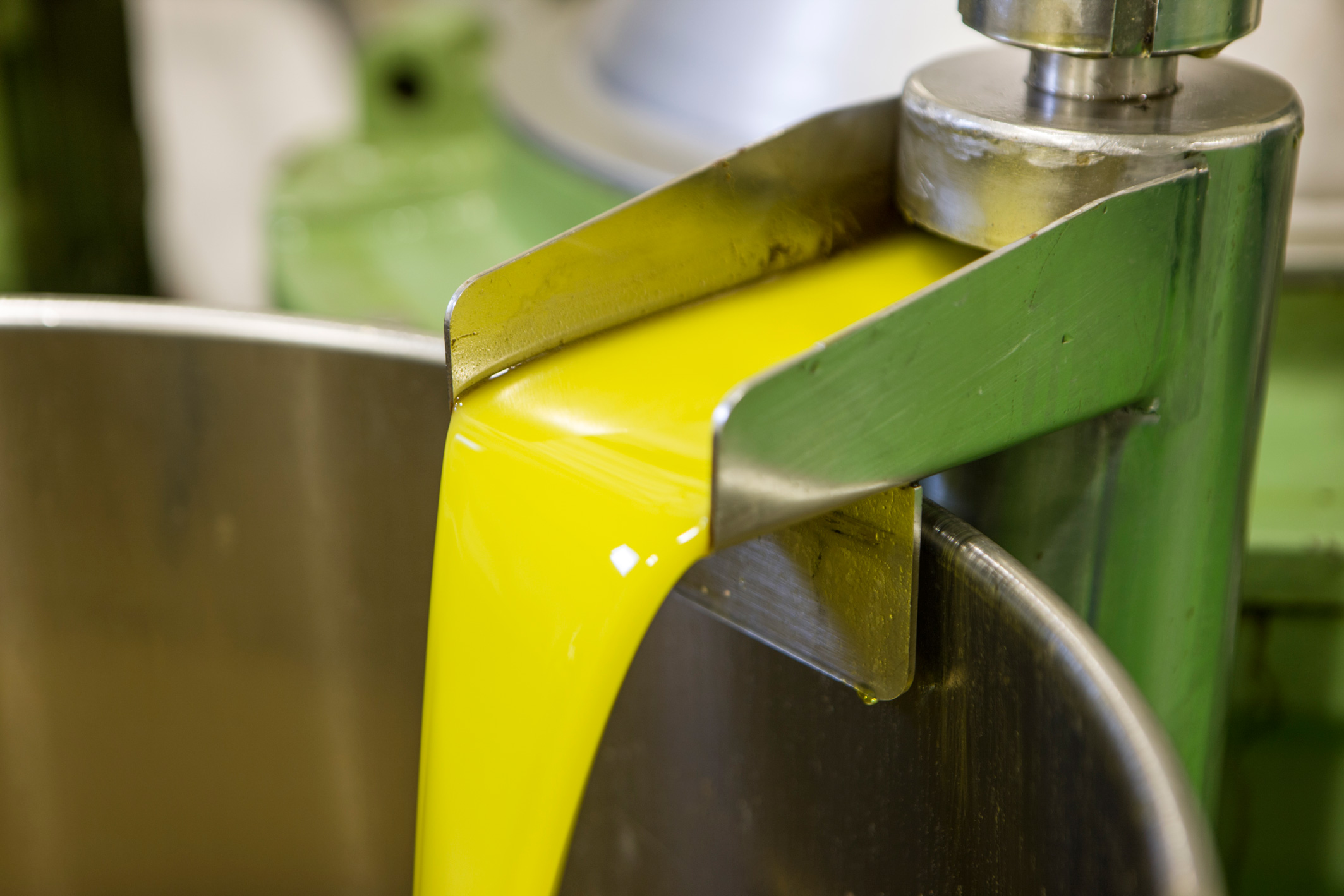 Aceite de la terra Alta Olis de Catalunya