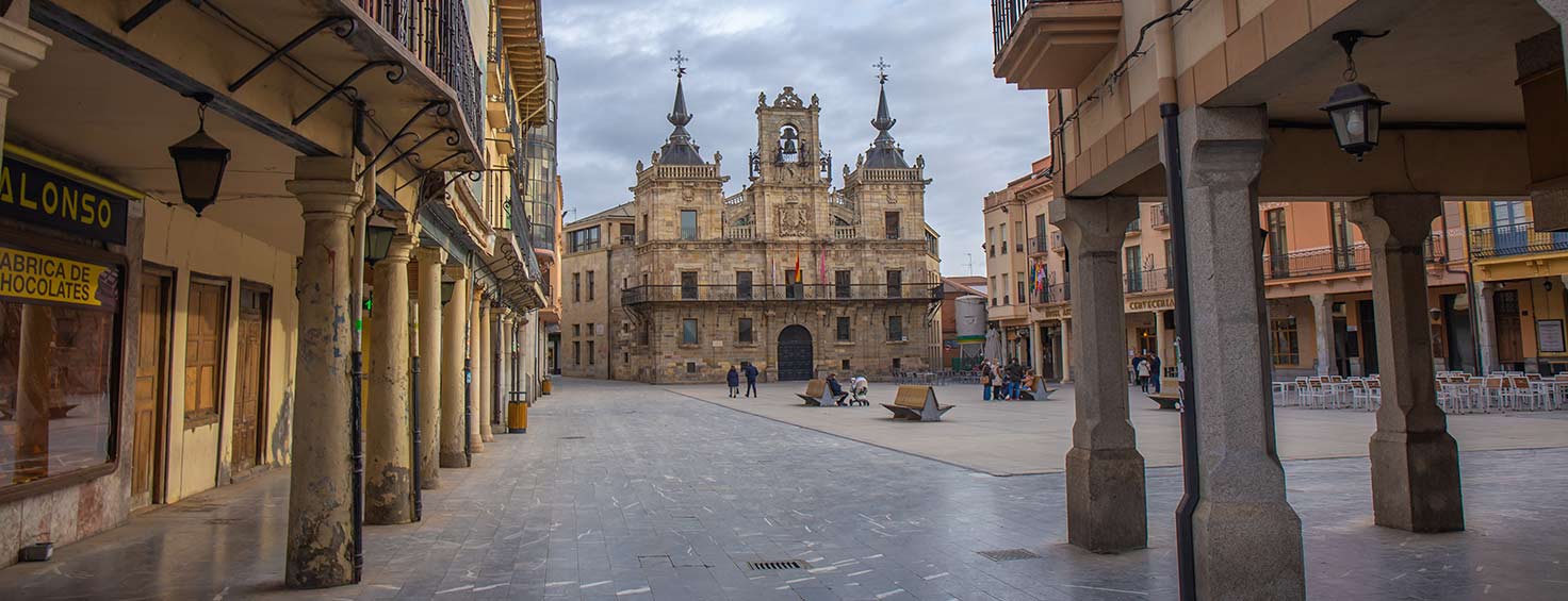 Mallorcan Sweets - Mantecadas de Astorga