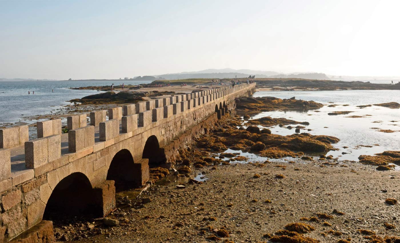 Galician mussels Cambados preserves, in Galicia