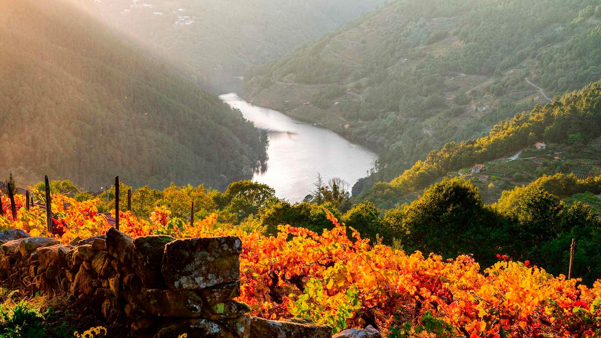 vinos DOP Ribera Sacra Rio Sil - Galicia-